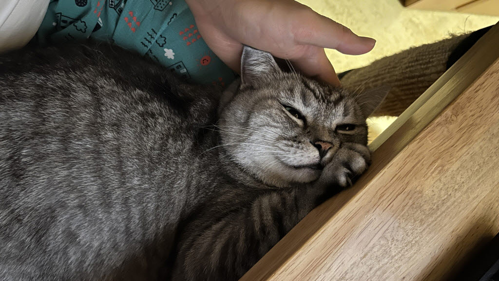 김화숙님 사진